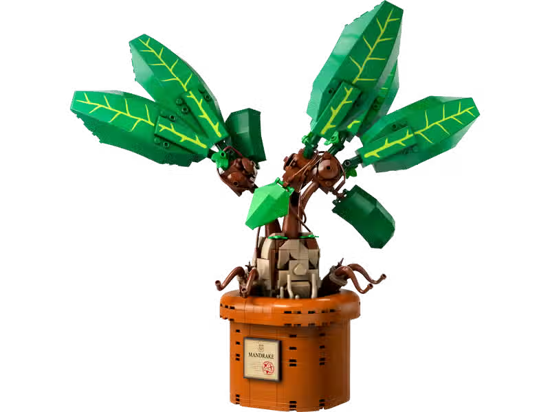 Mandragore (76433)